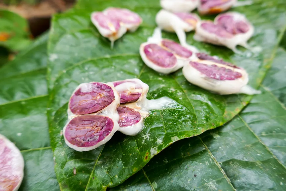 Split cacao pods with pink beans in white pulp laid out on a green leaf