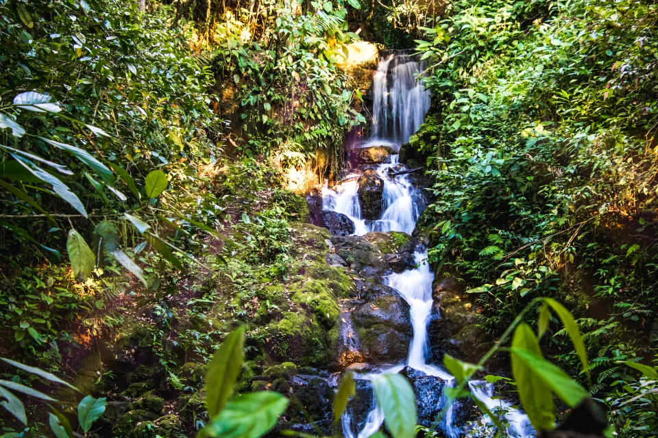 A multi-tier waterfall in dense forest, long exposure over mossy rocks